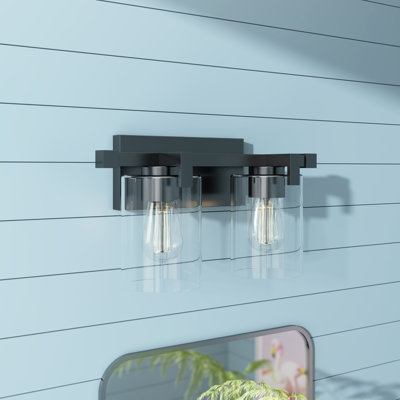 Hicklin 16 in. 2-Light Modern Dimmable Vanity Light in Matte Black with Clear Glass Shade