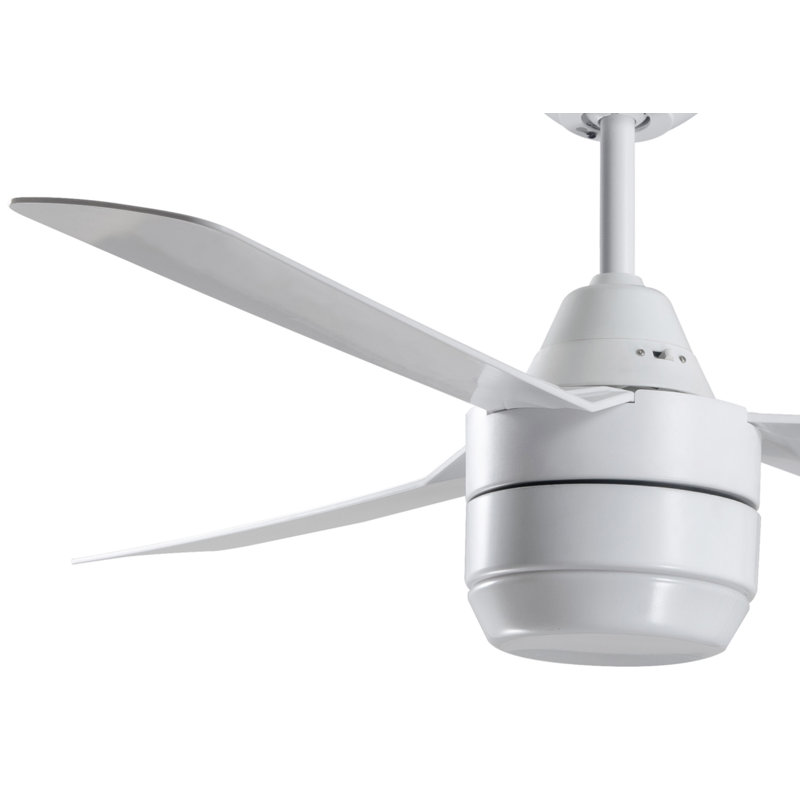 Albern 122cm Ceiling Fan with Light Kit