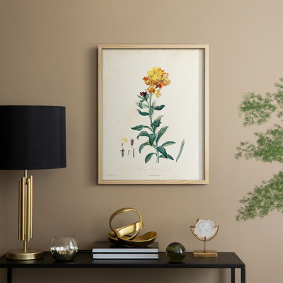 «Traditional Botanical III», reproduction encadrée - bois massif
