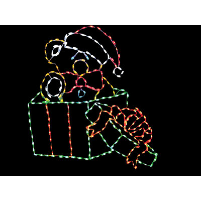 Teddy Bear Toy in Gift Box LED Display (48")