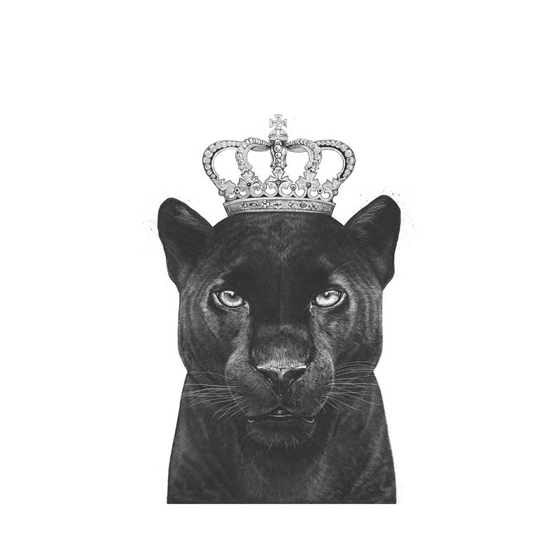 The King Panther by Valeriya Korenkova - Wrapped Canvas Print, 30.48cm H x 20.32cm W x 1.905cm D