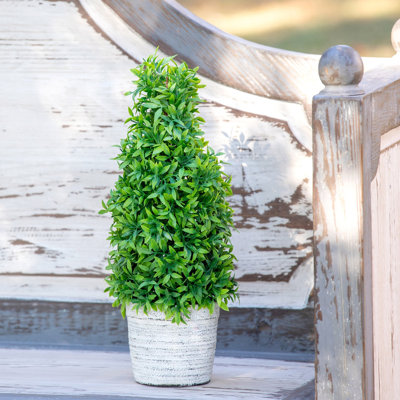 Faux Dracaena Plant