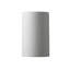 Ambiance Collection™ LED Outdoor Flush Mount-1711879536