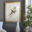 Spring Spring Pine Grosbeak - peinture encadrée-123802659-123802686