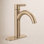 Nicoli Single-Handle Bathroom Faucet with Drain