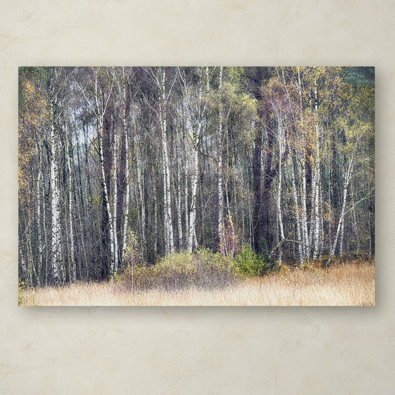 « birches », reproduction de photo sur toile tendue, H 12 po x l 19 po x P 2 po