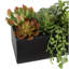 Herbe artificielle Lomba-1590702642