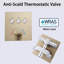 Thermostatic All-In-One Kit with Rough in-Valve