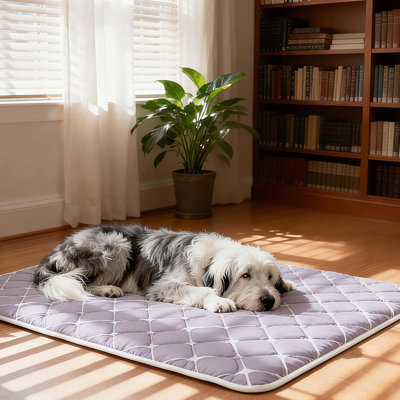 Lit de caisse pour chien ultra-doux - Tapis lavable et antidérapant, de couleur foncée pour la durabilité et le nettoyage facile