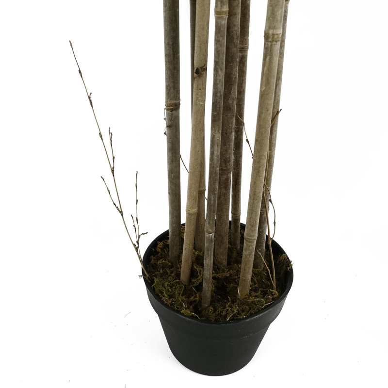 Annistyn 180cm Faux Bamboo Tree in Pot