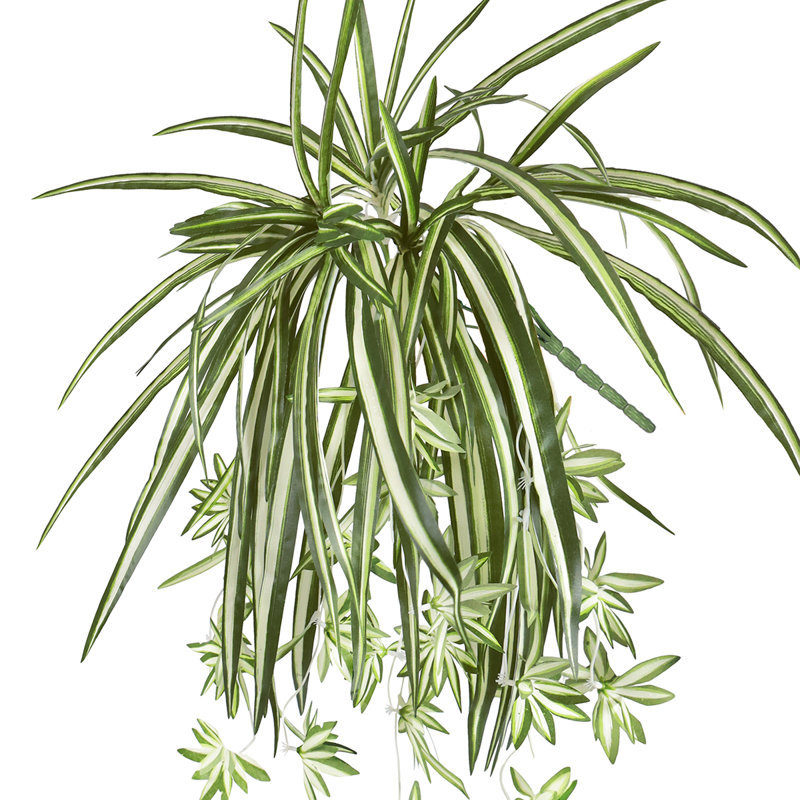 Plante araignée artificielle 26 po