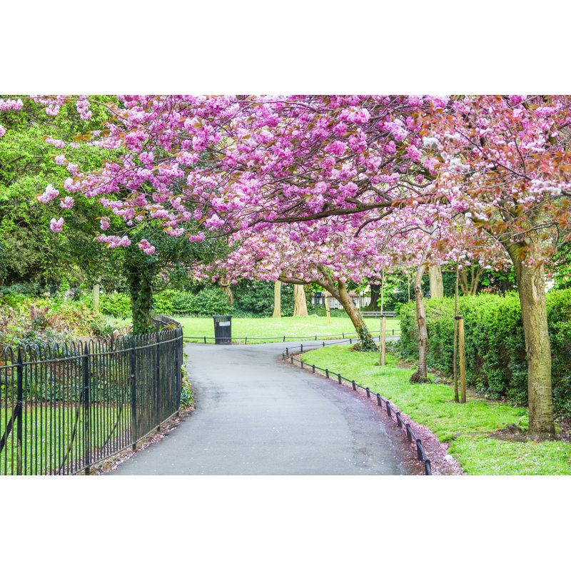 Saint Stephen's Green Park, Dublin by Gianliguori - Wrapped Canvas Print, 12"H x 18"W
