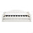 Twin Size Tufted Upholstered Daybed With Trundle ,Velvet Sofabed With USB&Type-C Charging Ports,No Box-Spring Needed-427765127