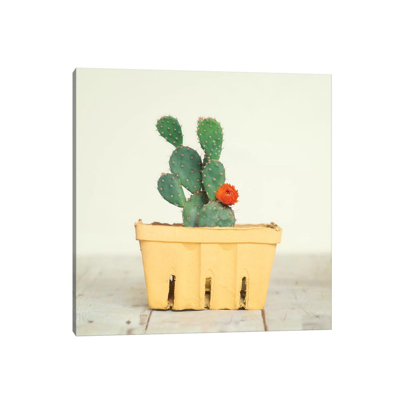 Cactus In Crate III by Mandy Lynne - Wrapped Canvas Print, 45.72 cm H x 45.72 cm W x 1.91 cm D