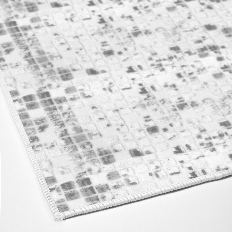 Elver Machine Woven Polyamide Area Rug in Gray/White, Runner 2'7" x 9'10"