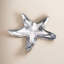 Starfish Dish