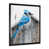 Single Picture Framed Print is unavailable