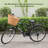 August Grove® Wicker Decorative Basket-233272443