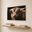 «Highland Bull» par Susan Arnot - impression sur toile-130745708-130745707