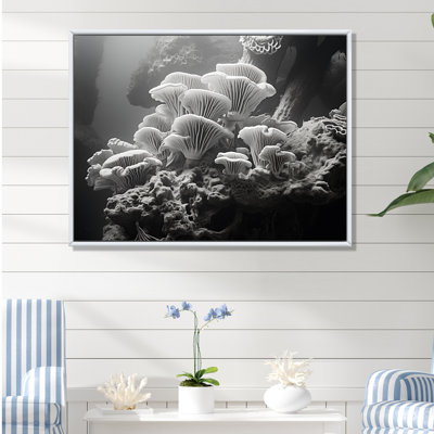 Anémone noire et blanche I sur toile
