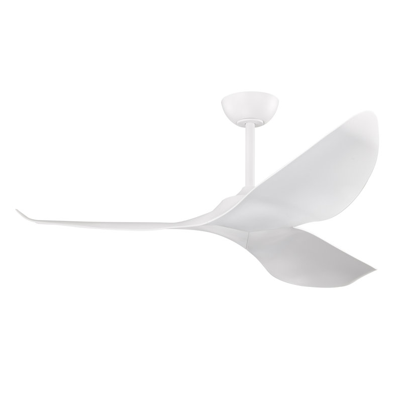 Ventilateur de plafond 3 pales avec télécommande Duncan, Blanc, Blanc
