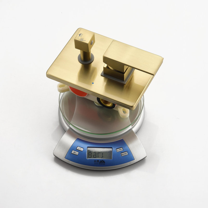 Pressure-Balanced (Temperature Control Only) with Rough in-Valve