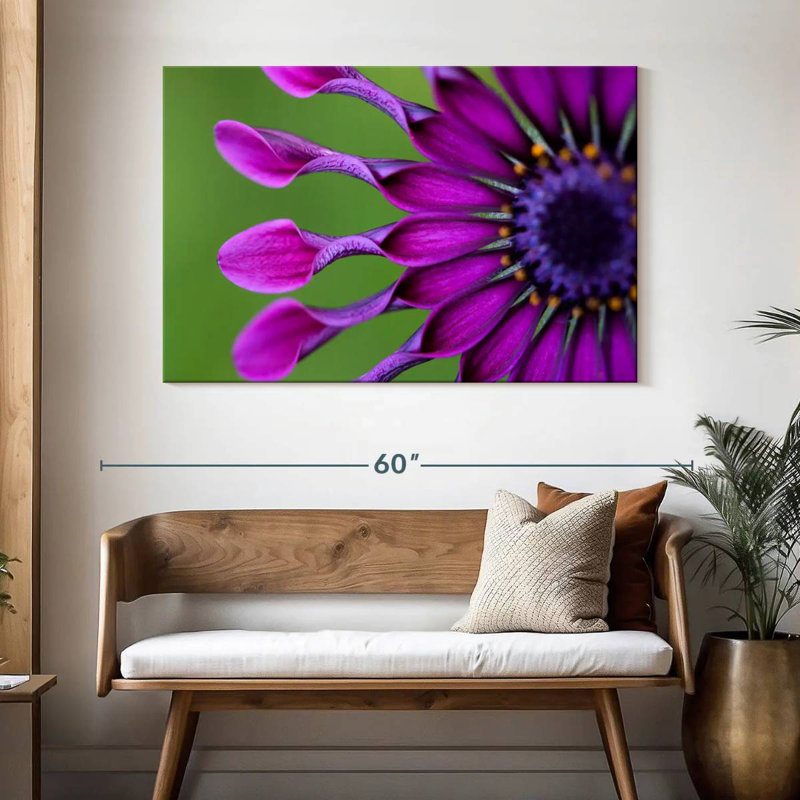 Harnek Exotic Purple African Daisy, 32" H x 48" W