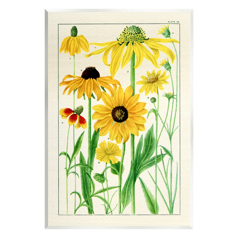 Marguerites jaunes rétro par Piddix, H 15 po x l 10 po x P 0,5 po