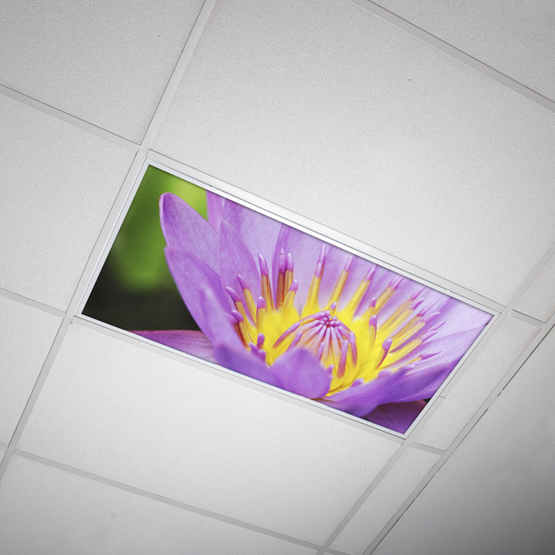 Flower Classroom Fluorescent Light Covers for Ceiling Lights - For 2x4 Fixture - by Octo Lights