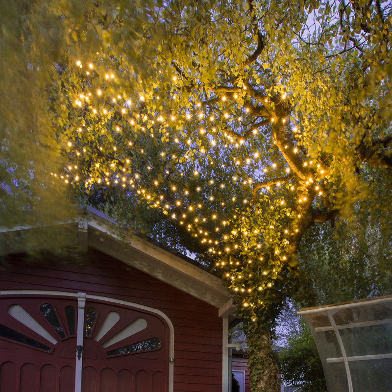 Nelida 0.8cm LED 80 - Bulb Fairy String Light, Warm white