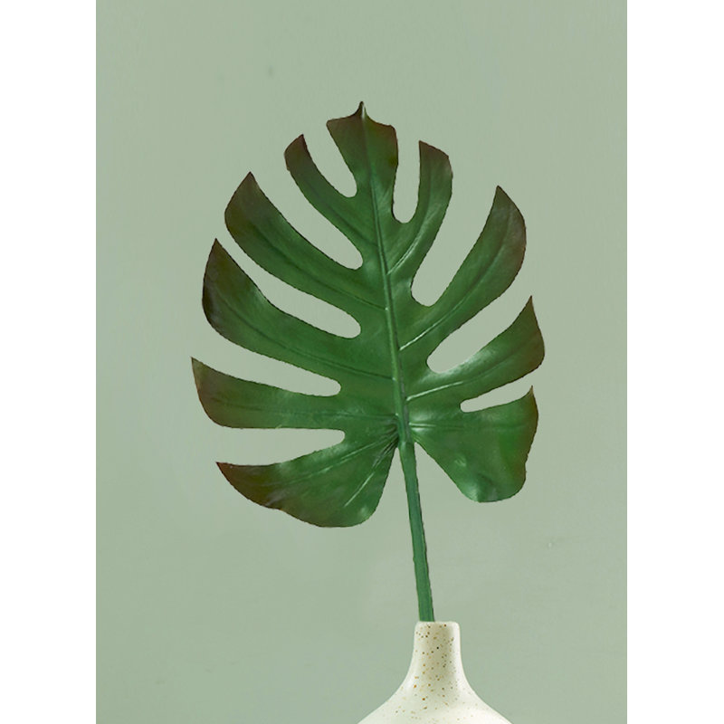 Arrangement Monstera