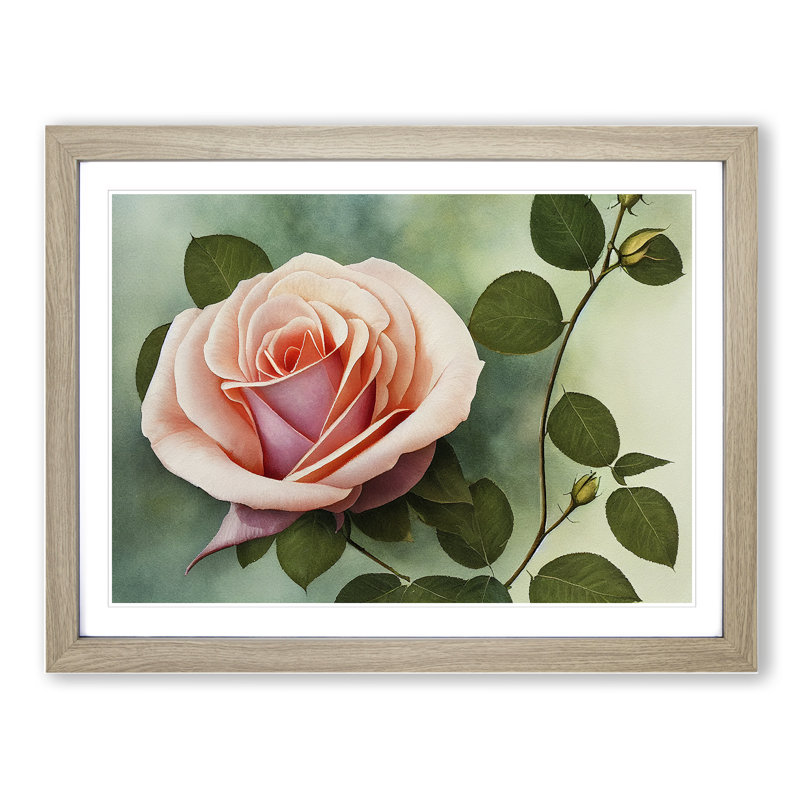 Distinguished Rose Flower - Single Picture Frame Painting, 46cm H x 64cm W x 2cm D, Oak