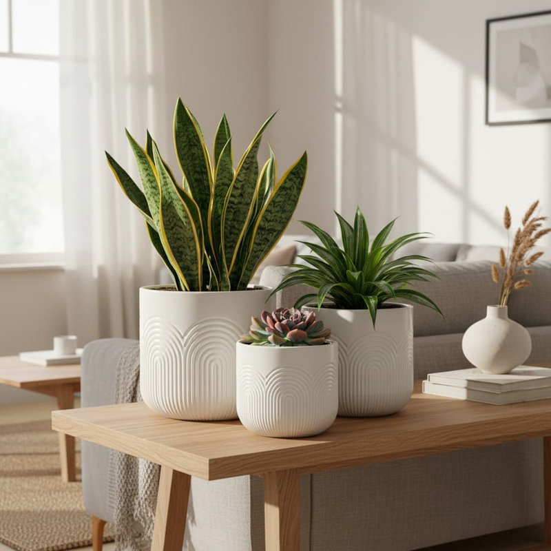 Ceramic Planter