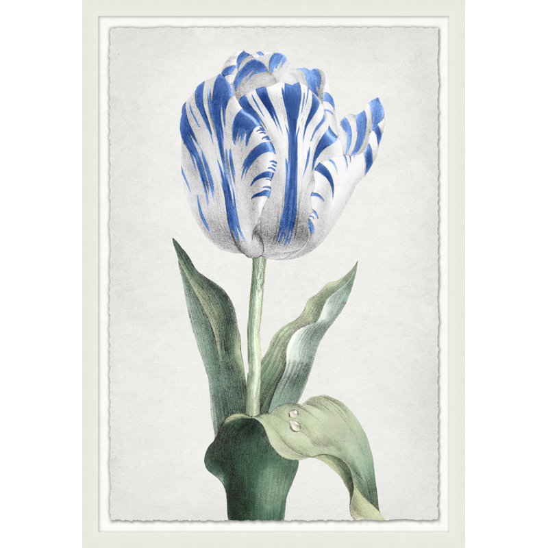 Spring Tulip 2' Framed Graphic Art Print on Glass