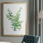 Eucalyptus III, reproduction encadrée de qualité supérieure - prête à être accrochée-178934176-178934180