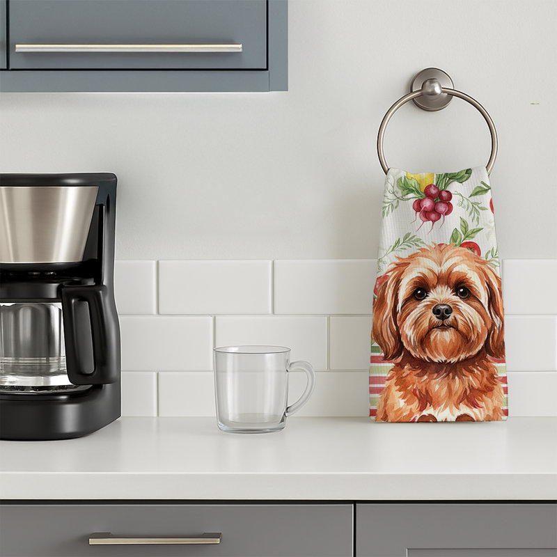 Torchon rouge Lhasa Apso, Red Lhasa Apso