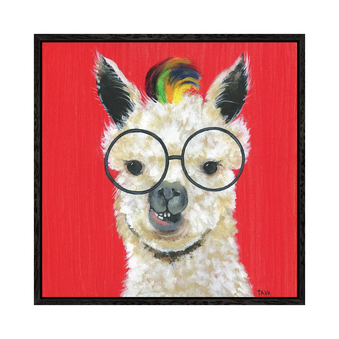 Llama Rockstar von Tava Studios - Galerie-verpackte Leinwand Giclée auf Leinwand