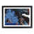 Black Framed selected