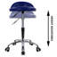 Backed Adjustable Height Ergonomic Lab Stool Wheels-1535761495