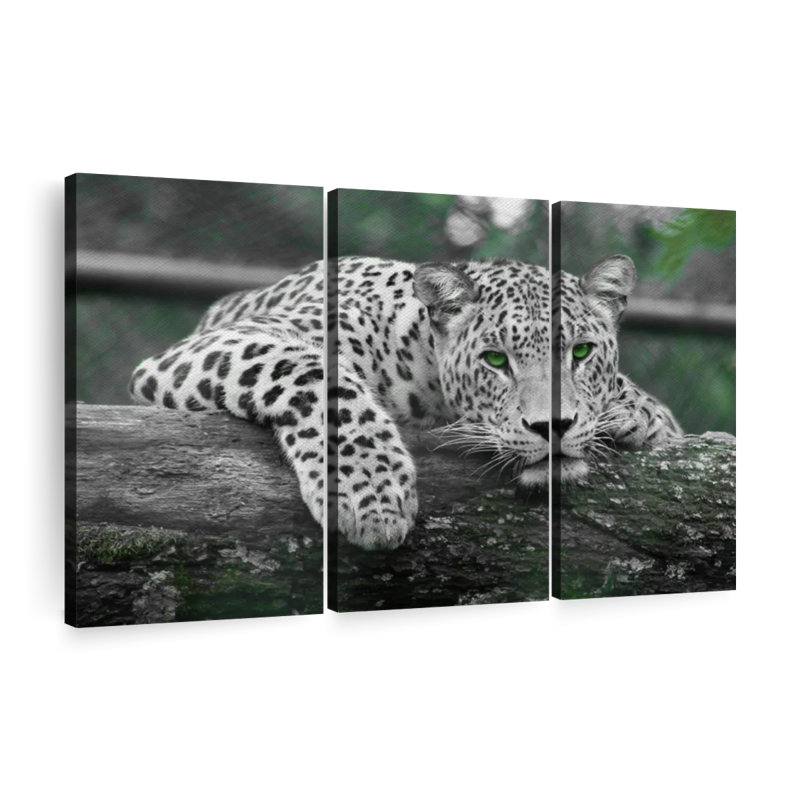 «Green Eyed Jaguar», 3 pièces, H 42 po x l 65 po x P 1,25 po