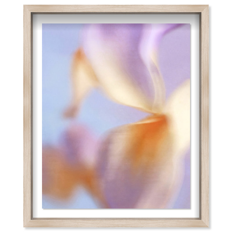 Blurred Venus Shadowbox Abstract Print by Oliver Gal, Black Frame, 16 x 20, 25.5"H x 31.5"W, Natural Oak Shadowbox