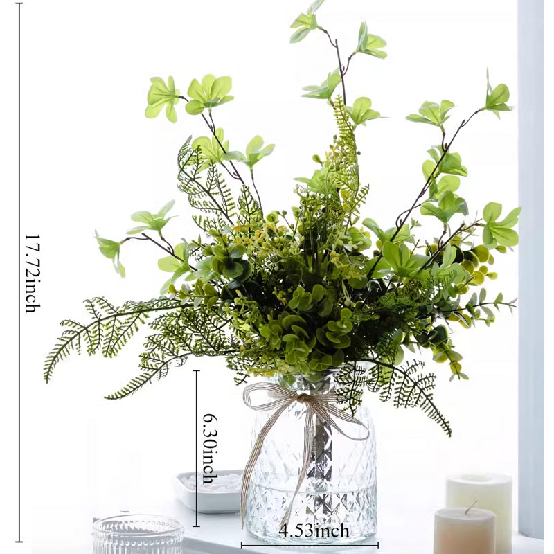 17,72 plante
