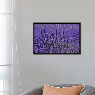 " Lavender Farm, Furano, Hokkaido Prefecture, Japan " by Keren Su