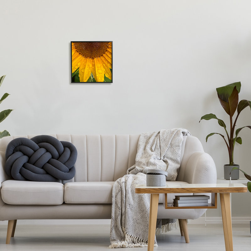 Gouttes d'eau tournesol nature encadrée sur bois par Gloria Palmer, H 12 po x l 12 po x P 1,5 po, Giclée encadrée noir minuit