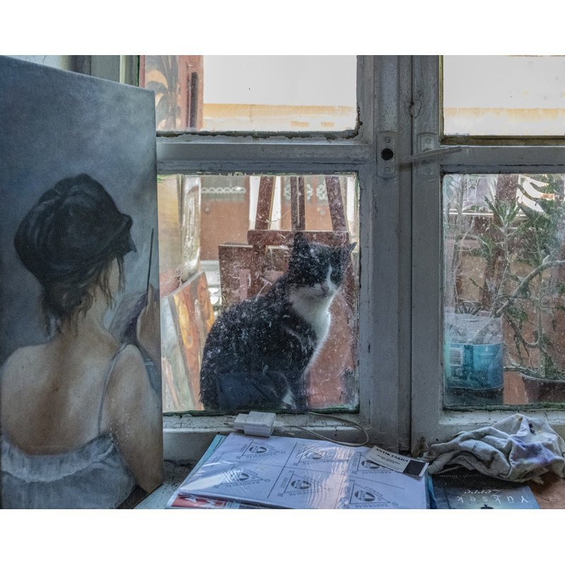 Wrapped Canvas Print, 50.8 cm H x 76.2 cm W