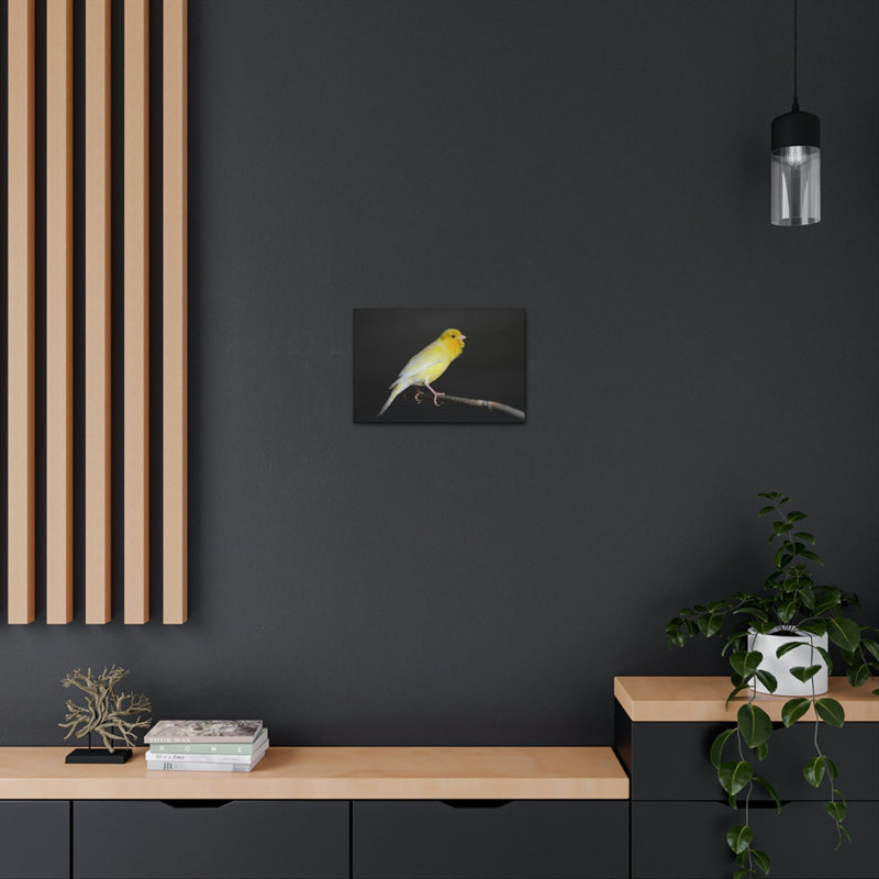 No Frame Print on Canvas, 30.48cm H x 40.64cm W
