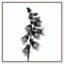Ossified Petals II Print by Oliver Gal-1900462360-1900462363
