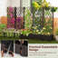 Planter-2109032793