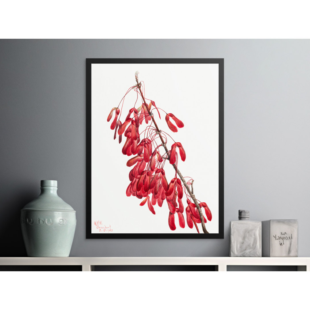 No Frame Print