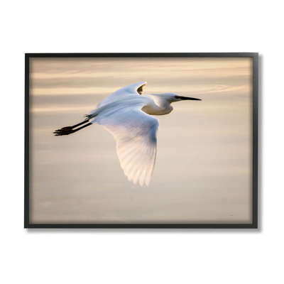 Aigrette glissant vue aérienne, art numérique par David Lorenz